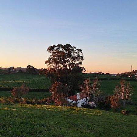 Portela Guesthouse Cercal do Alentejo المظهر الخارجي الصورة