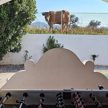 Portela Guesthouse Cercal do Alentejo المظهر الخارجي الصورة