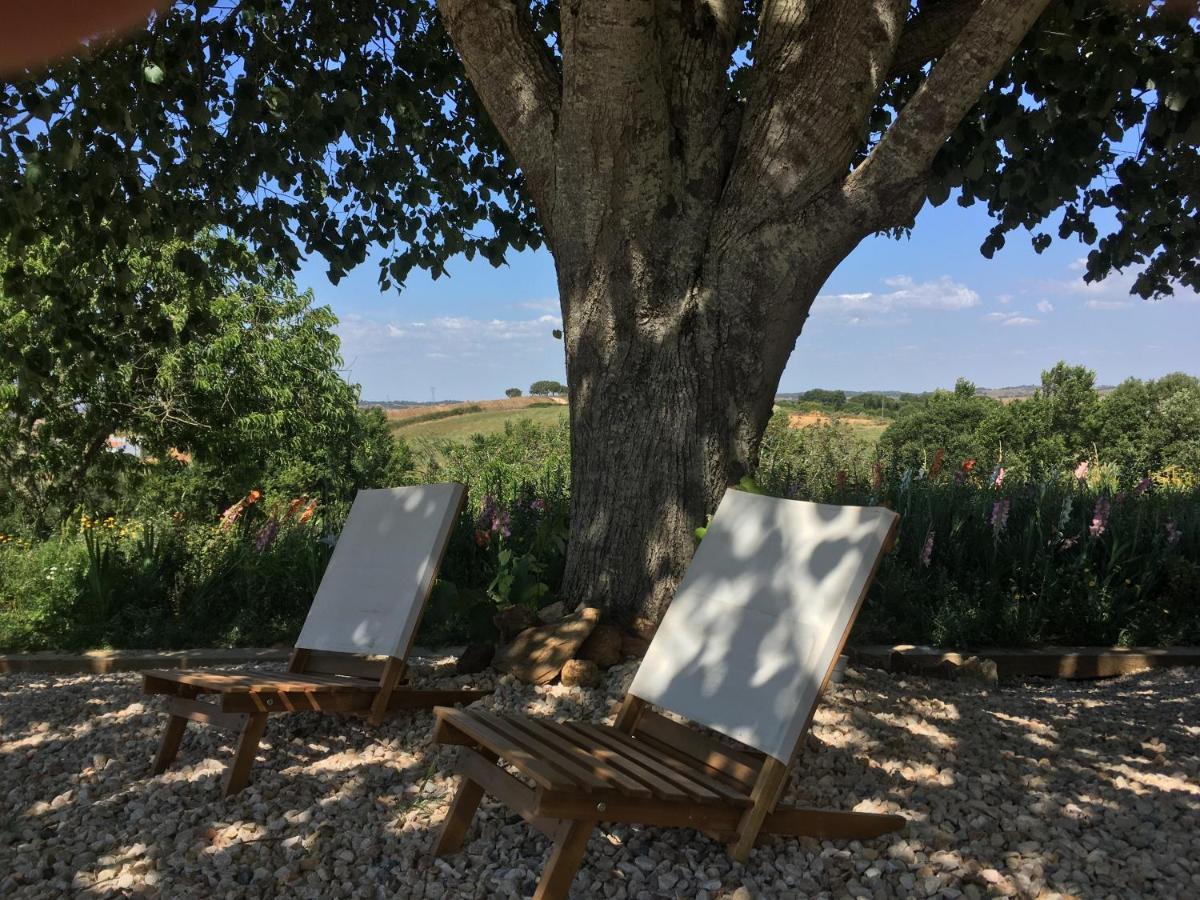 Portela Guesthouse Cercal do Alentejo المظهر الخارجي الصورة
