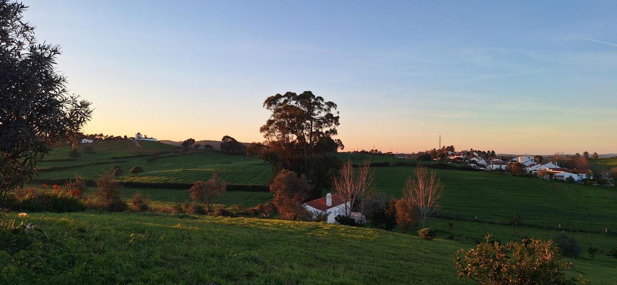 Portela Guesthouse Cercal do Alentejo المظهر الخارجي الصورة