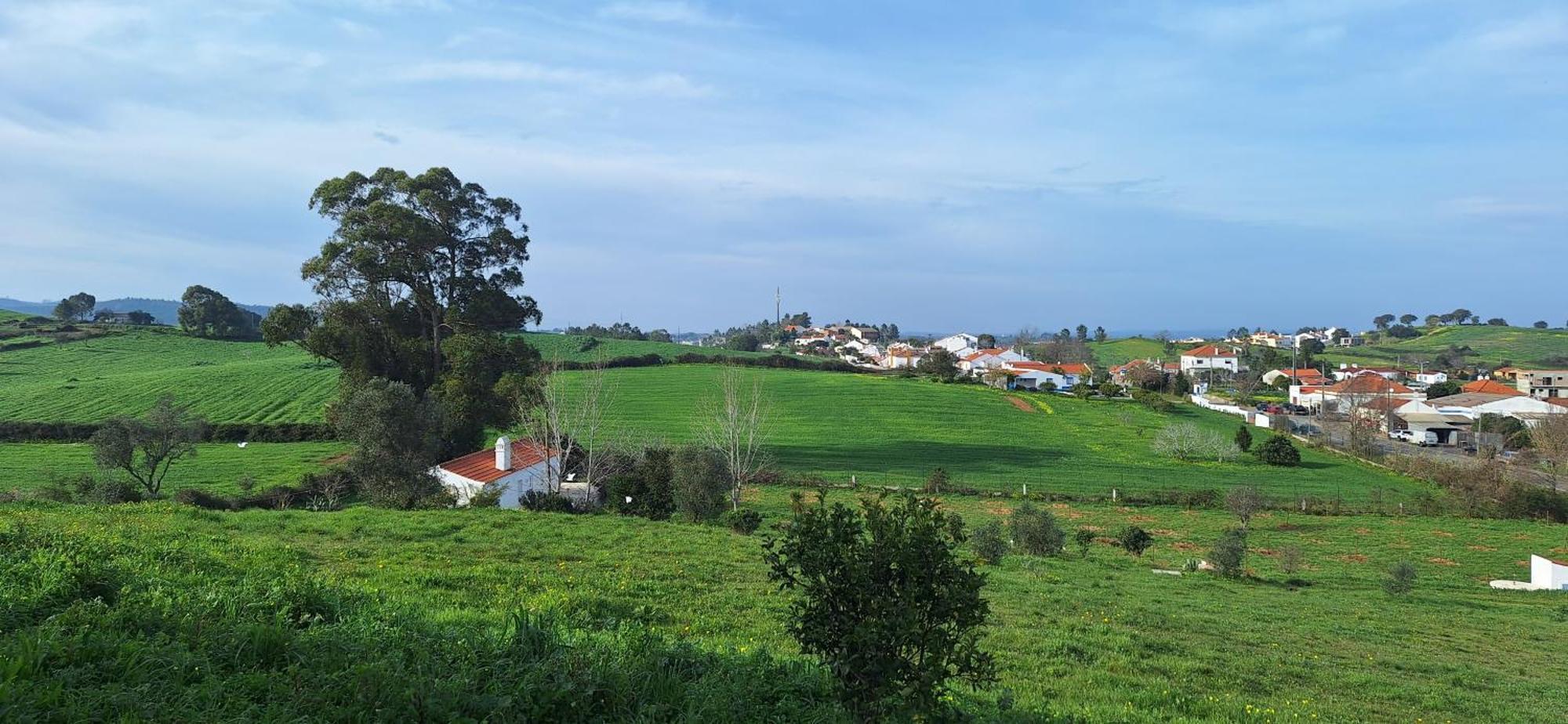 Portela Guesthouse Cercal do Alentejo المظهر الخارجي الصورة