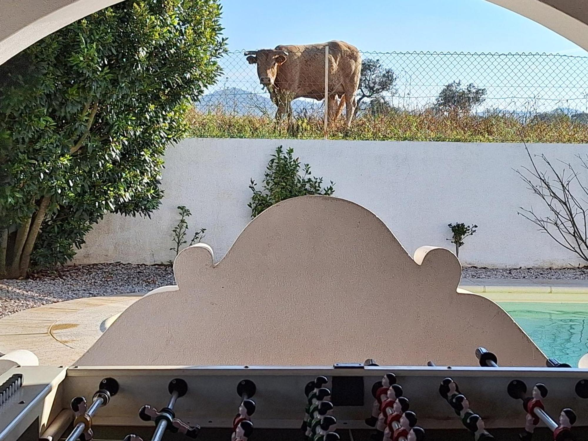 Portela Guesthouse Cercal do Alentejo المظهر الخارجي الصورة
