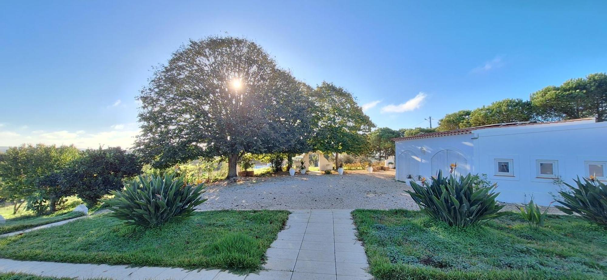 Portela Guesthouse Cercal do Alentejo المظهر الخارجي الصورة
